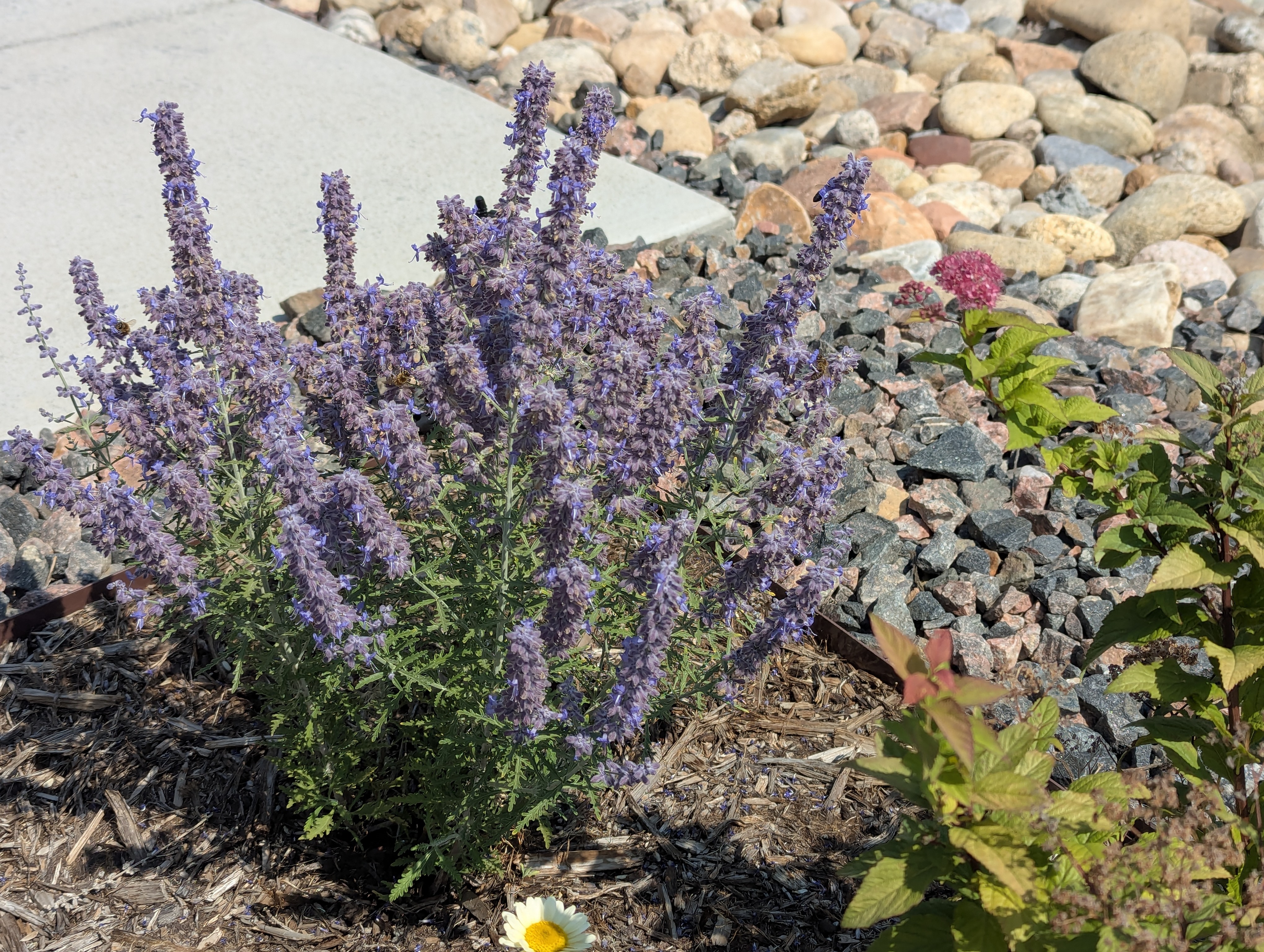 Garden, Morrison, Colorado